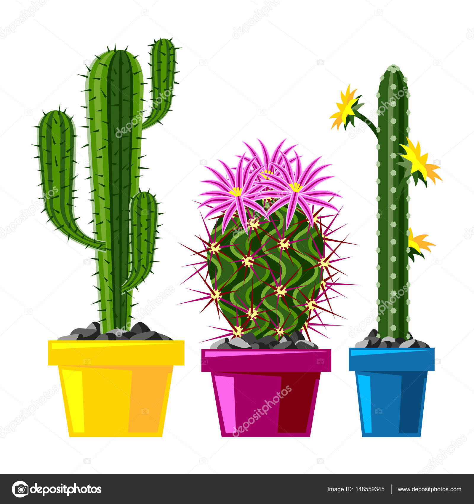 ilustração em vetor conjunto realista de cactos em flor 2943938 Vetor no  Vecteezy