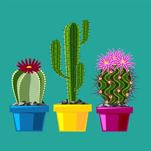 Gaya datar kaktus Kartun hijau gurun Kartun hijau gambar grafis mexican sukulen dan tropis tanaman seni cacti floral vector ilustrasi . - Stok Vektor