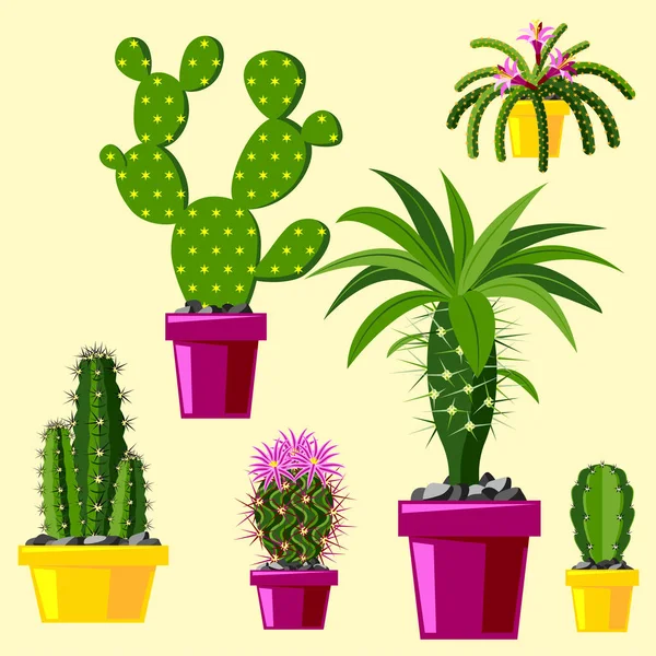 Cactus estilo plano natureza deserto flor verde desenho animado gráfico mexicano suculento e tropical planta jardim arte cactos floral vetor ilustração . —  Vetores de Stock