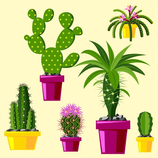 Cactus estilo plano naturaleza desierto flor verde dibujo de dibujos animados gráfica mexicana suculenta y tropical planta jardín arte cactus vector floral ilustración . — Vector de stock