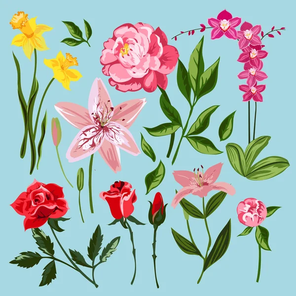 Flores Vintage Vector Ilustración . — Vector de stock