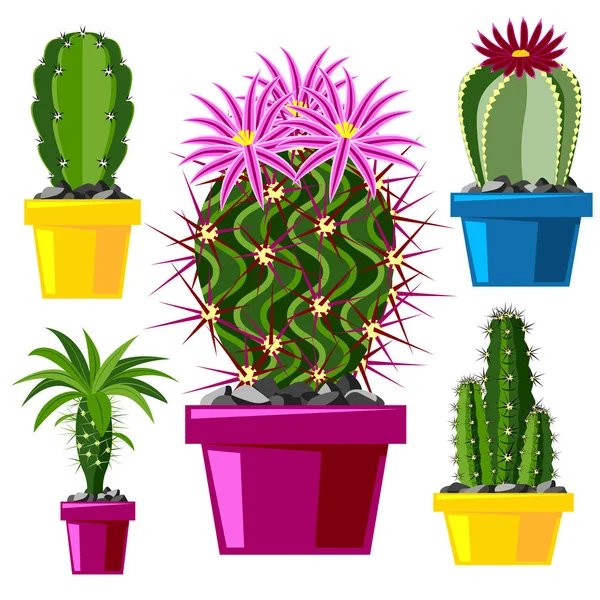 Cactus estilo plano naturaleza desierto flor verde dibujo de dibujos animados gráfica mexicana suculenta y tropical planta jardín arte cactus vector floral ilustración . — Vector de stock