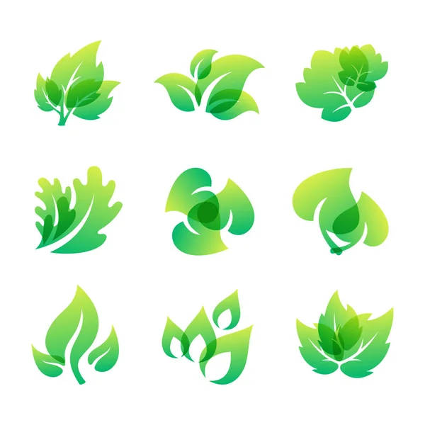 Hoja verde diseño ecológico naturaleza elegancia símbolo y elemento natural ecología vector orgánico ilustración . — Vector de stock