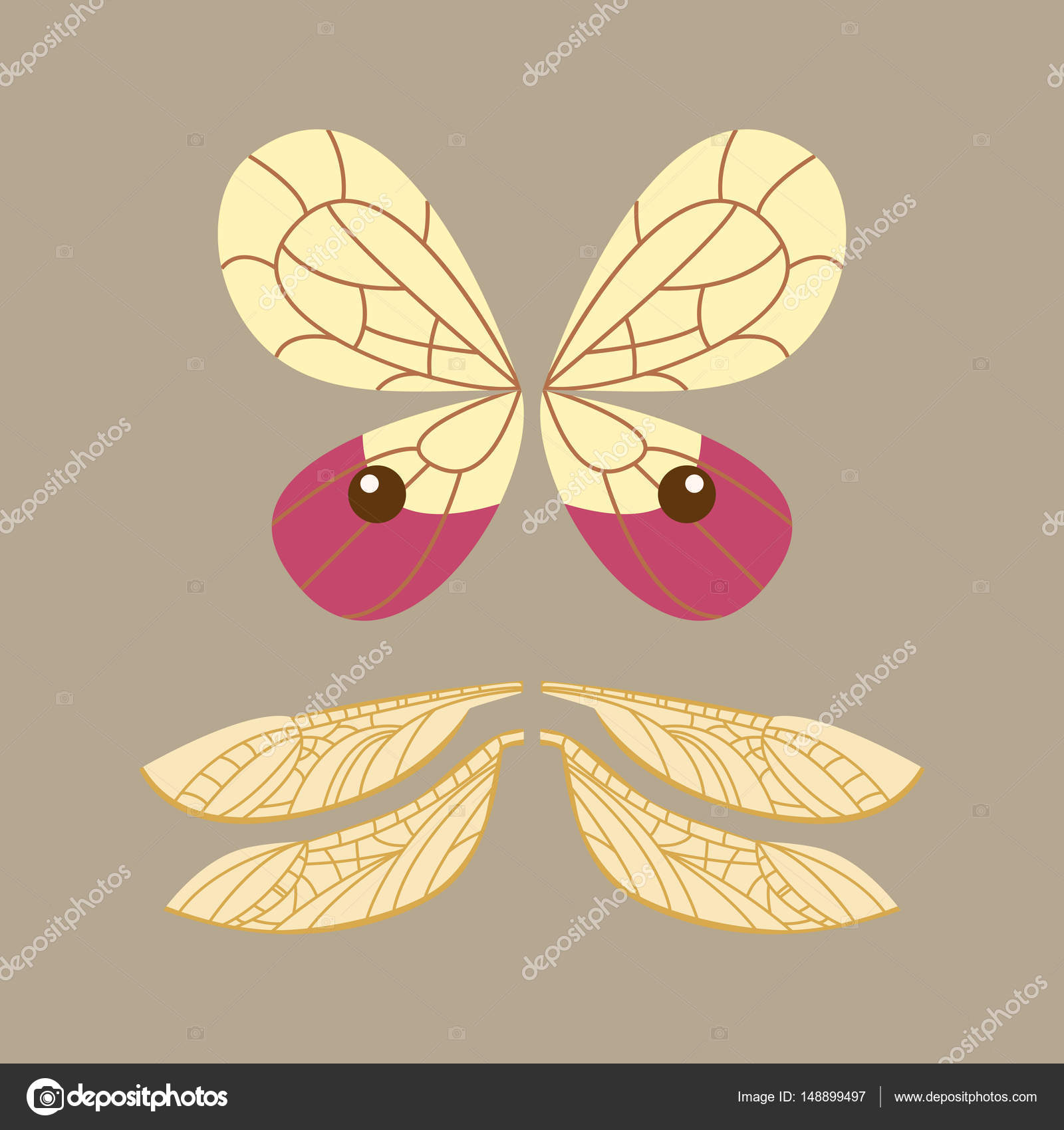 Wings isolated animal feather pinion butterfly freedom flight and natural hawk life peace design