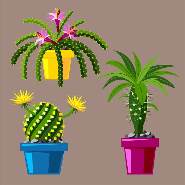 Cactus estilo plano naturaleza desierto flor verde dibujo de dibujos animados gráfica mexicana suculenta y tropical planta jardín arte cactus vector floral ilustración . — Vector de stock