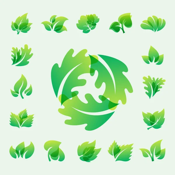 Feuille verte eco design friendly nature élégance symbole et élément naturel écologie illustration vectorielle organique . — Image vectorielle