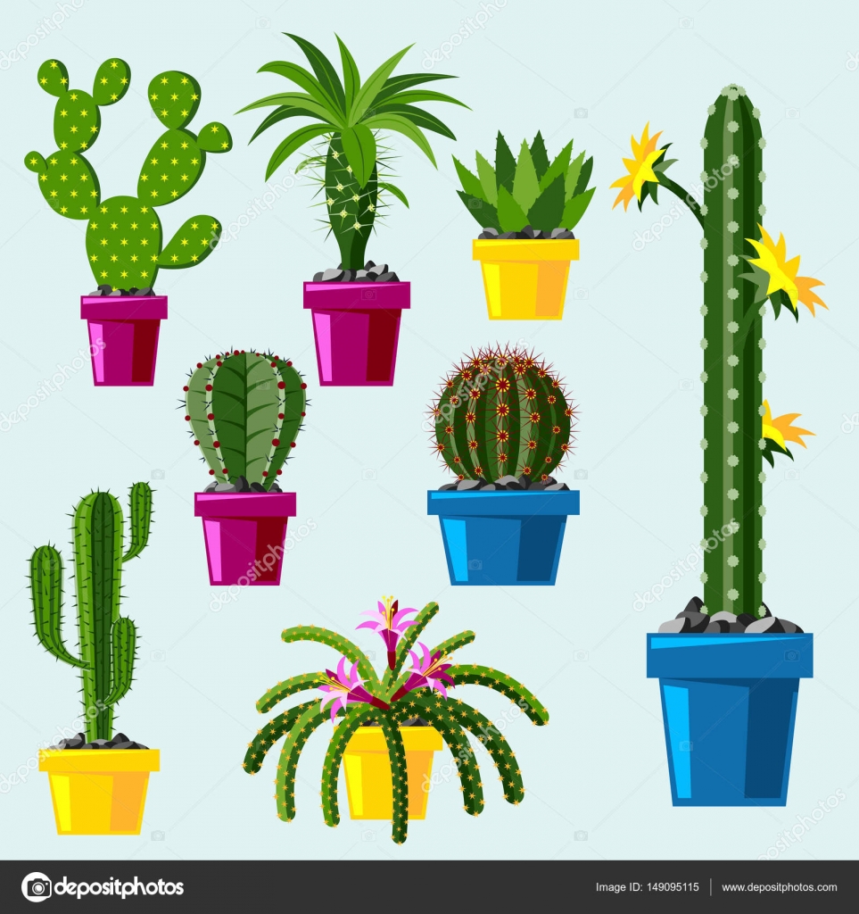 Cactus flat style nature desert flower green cartoon drawing graphic ... Cactus flat style nature desert flower green cartoon drawing graphic ...