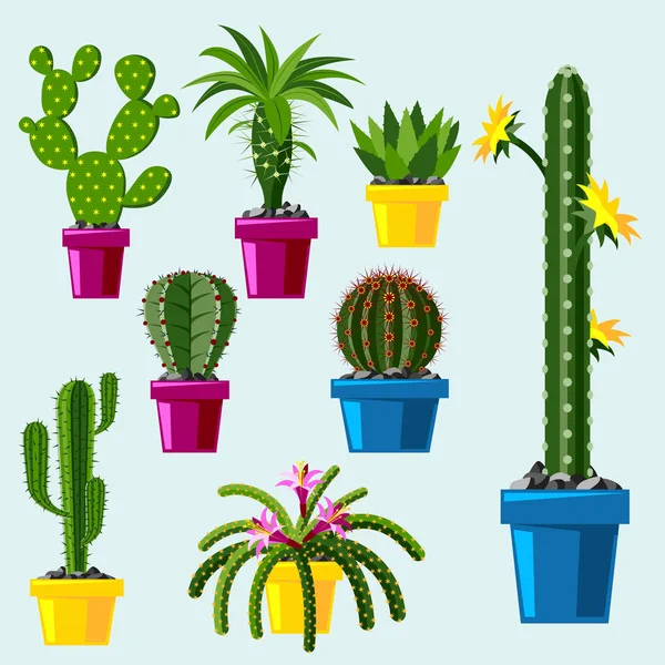 Cactus estilo plano naturaleza desierto flor verde dibujo de dibujos animados gráfica mexicana suculenta y tropical planta jardín arte cactus vector floral ilustración . — Vector de stock