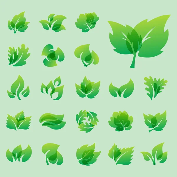 Hoja verde diseño ecológico naturaleza elegancia símbolo y elemento natural ecología vector orgánico ilustración . — Vector de stock