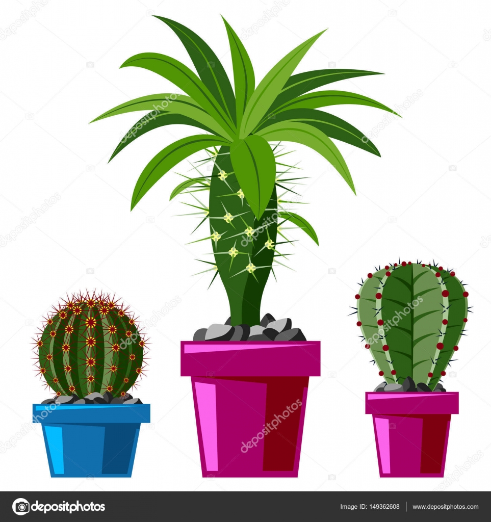 Cactus flat style nature desert flower green cartoon drawing graphic ... Cactus flat style nature desert flower green cartoon drawing graphic ...
