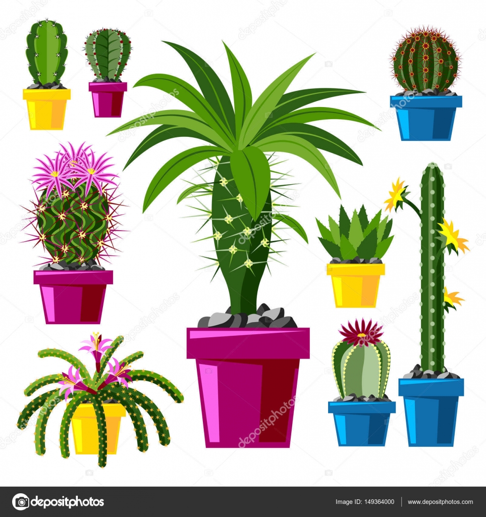Cactus flat style nature desert flower green cartoon drawing graphic ... Cactus flat style nature desert flower green cartoon drawing graphic ...