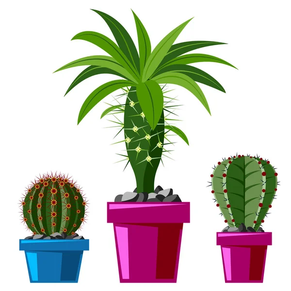 Cactus estilo plano naturaleza desierto flor verde dibujo de dibujos animados gráfica mexicana suculenta y tropical planta jardín arte cactus vector floral ilustración . — Vector de stock