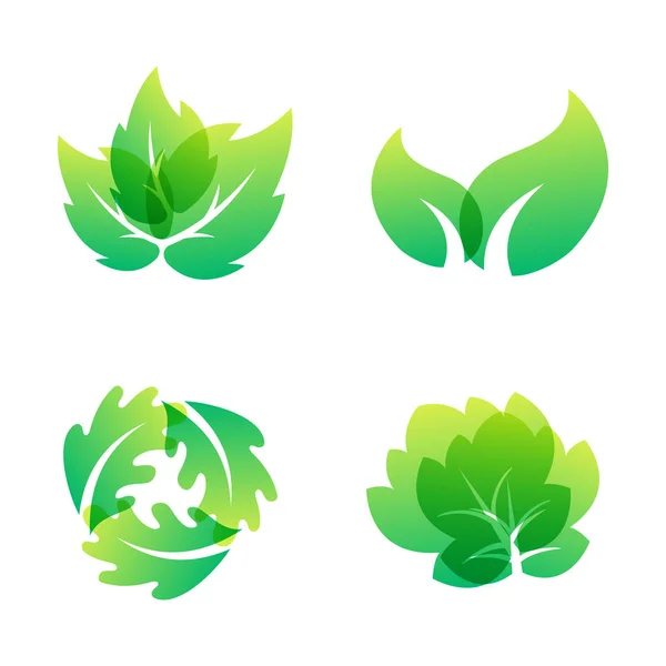 Hoja verde diseño ecológico naturaleza elegancia símbolo y elemento natural ecología vector orgánico ilustración . — Archivo Imágenes Vectoriales