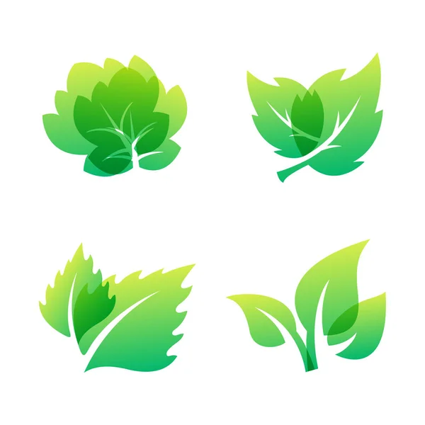 Grüne Blatt Öko-Design freundlich Natur Eleganz Symbol und natürliche Elemente Ökologie organische Vektor Illustration. — Stockvektor