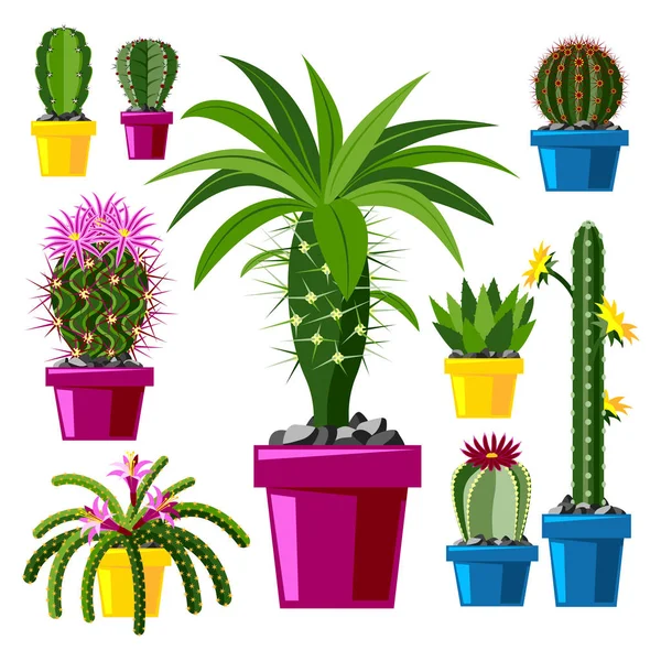 Cactus estilo plano natureza deserto flor verde desenho animado gráfico mexicano suculento e tropical planta jardim arte cactos floral vetor ilustração . —  Vetores de Stock