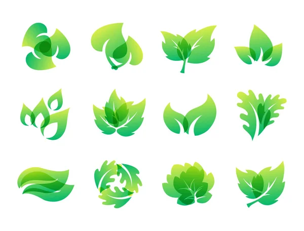 Hoja verde diseño ecológico naturaleza elegancia símbolo y elemento natural ecología vector orgánico ilustración . — Archivo Imágenes Vectoriales