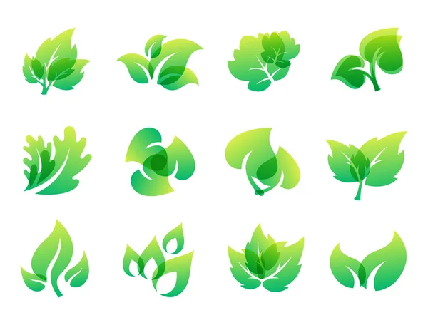 Hoja verde diseño ecológico naturaleza elegancia símbolo y elemento natural ecología vector orgánico ilustración . — Vector de stock