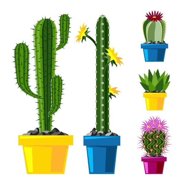 Cactus estilo plano naturaleza desierto flor verde dibujo de dibujos animados gráfica mexicana suculenta y tropical planta jardín arte cactus vector floral ilustración . — Vector de stock