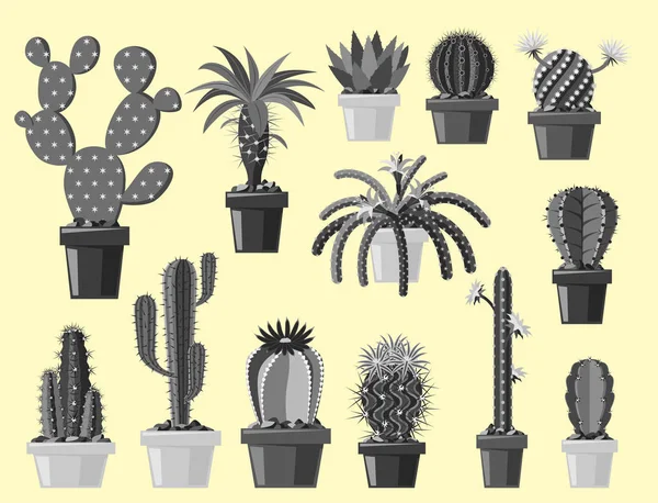 Kaktus plochý přírodní pouštní květina černobílá karikatura kreslení grafických mexické sukulentní a tropických rostlin zahradního umění kaktusy květinové vektorové ilustrace. — Stockový vektor