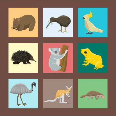 Avustralya vahşi hayvanlar popüler doğa karakterler düz stil memeli koleksiyonu vektör çizim karikatür.