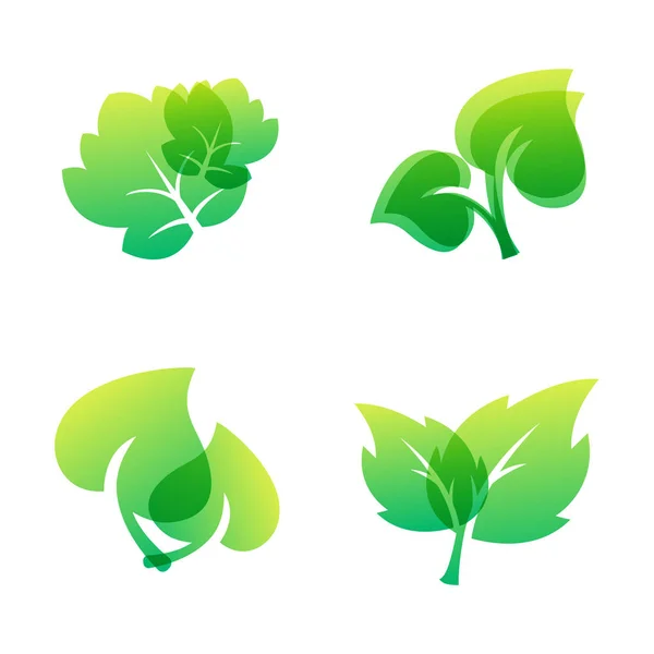 Zielony liść Eko projekt przyjazny charakter symbol elegancji i naturalny element ekologia ekologiczne ilustracja wektorowa. — Wektor stockowy