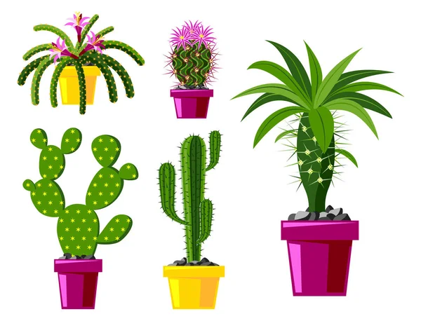 Cactus estilo plano natureza deserto flor verde desenho animado gráfico mexicano suculento e tropical planta jardim arte cactos floral vetor ilustração . —  Vetores de Stock