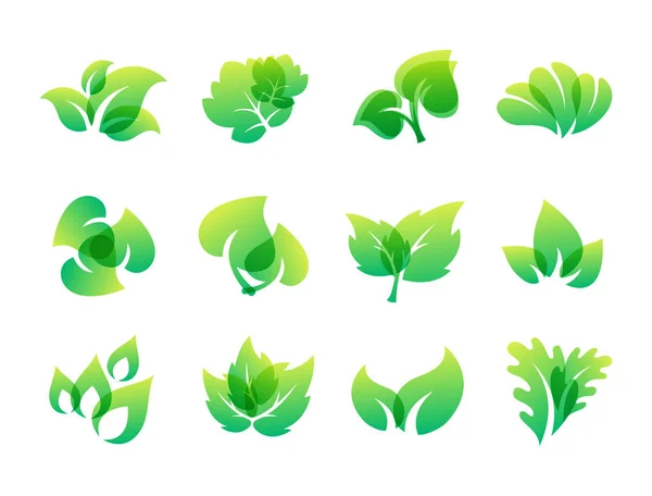 Hoja verde diseño ecológico naturaleza elegancia símbolo y elemento natural ecología vector orgánico ilustración . — Archivo Imágenes Vectoriales