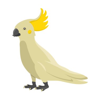 Çizgi film tropik papağan yabani hayvan kuş vektör çizim yaban hayatı şirin canlı orman güzel Amerika papağanı.