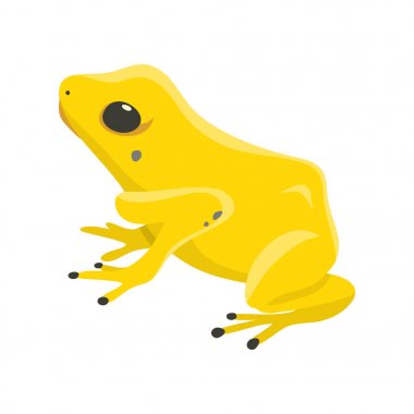 Dartfrog phyllobates terribilis tropikal orman vektöründen tehlikeli bir kurbağa zehir