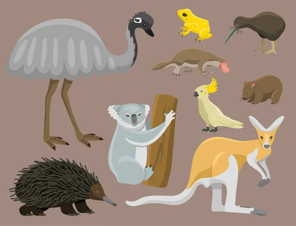 Ausztrália vadon élő állatok cartoon népszerű jellegét karakterek lapos stílusú emlős gyűjteménye vektor illusztráció. — Stock Vector