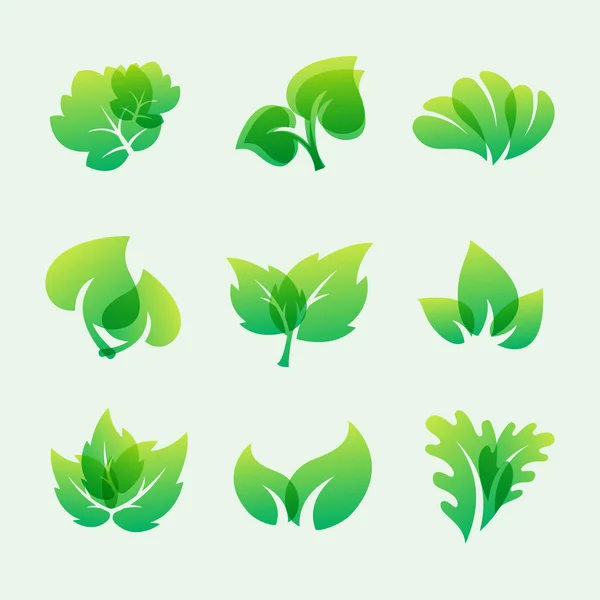 Feuille verte eco design friendly nature élégance symbole et élément naturel écologie illustration vectorielle organique . — Image vectorielle