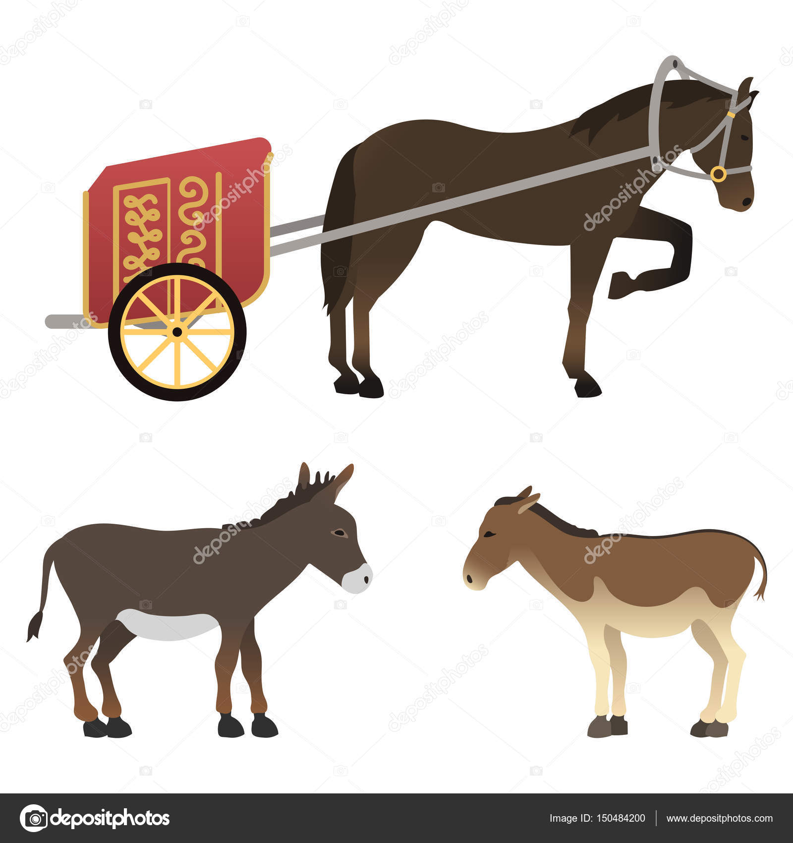 Set di stallone pony cavallo isolato illustrazione di vettore di diverse razze colore fattoria equestre personaggi animali Disegno animali di collezione