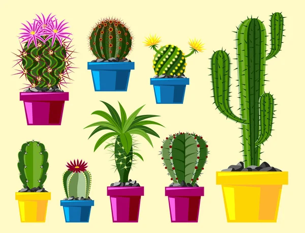 Cactus estilo plano natureza deserto flor verde desenho animado gráfico mexicano suculento e tropical planta jardim arte cactos floral vetor ilustração . —  Vetores de Stock