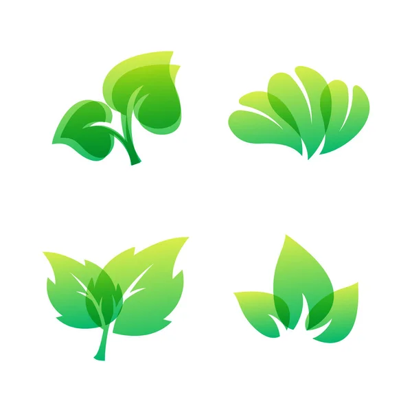 Folha verde eco design amigável natureza elegância símbolo e elemento natural ecologia orgânica vetor ilustração . —  Vetores de Stock