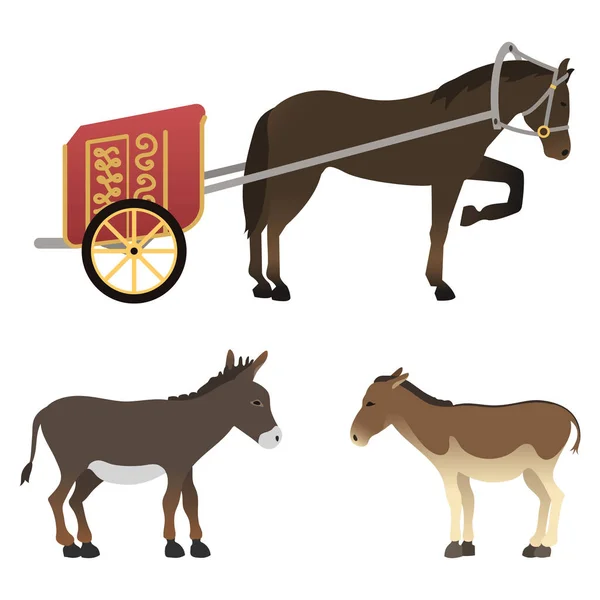 Cheval poney étalon isolé différentes races couleur ferme équestre animaux caractères vectoriels illustration . — Image vectorielle