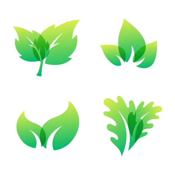 Green leaf eco design friendly nature elegance symbol and natural element ecology organic vector illustration. — Stock Vector