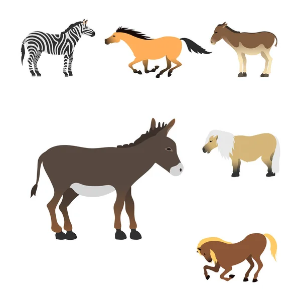 Cheval poney étalon isolé différentes races couleur ferme équestre animaux caractères vectoriels illustration . — Image vectorielle