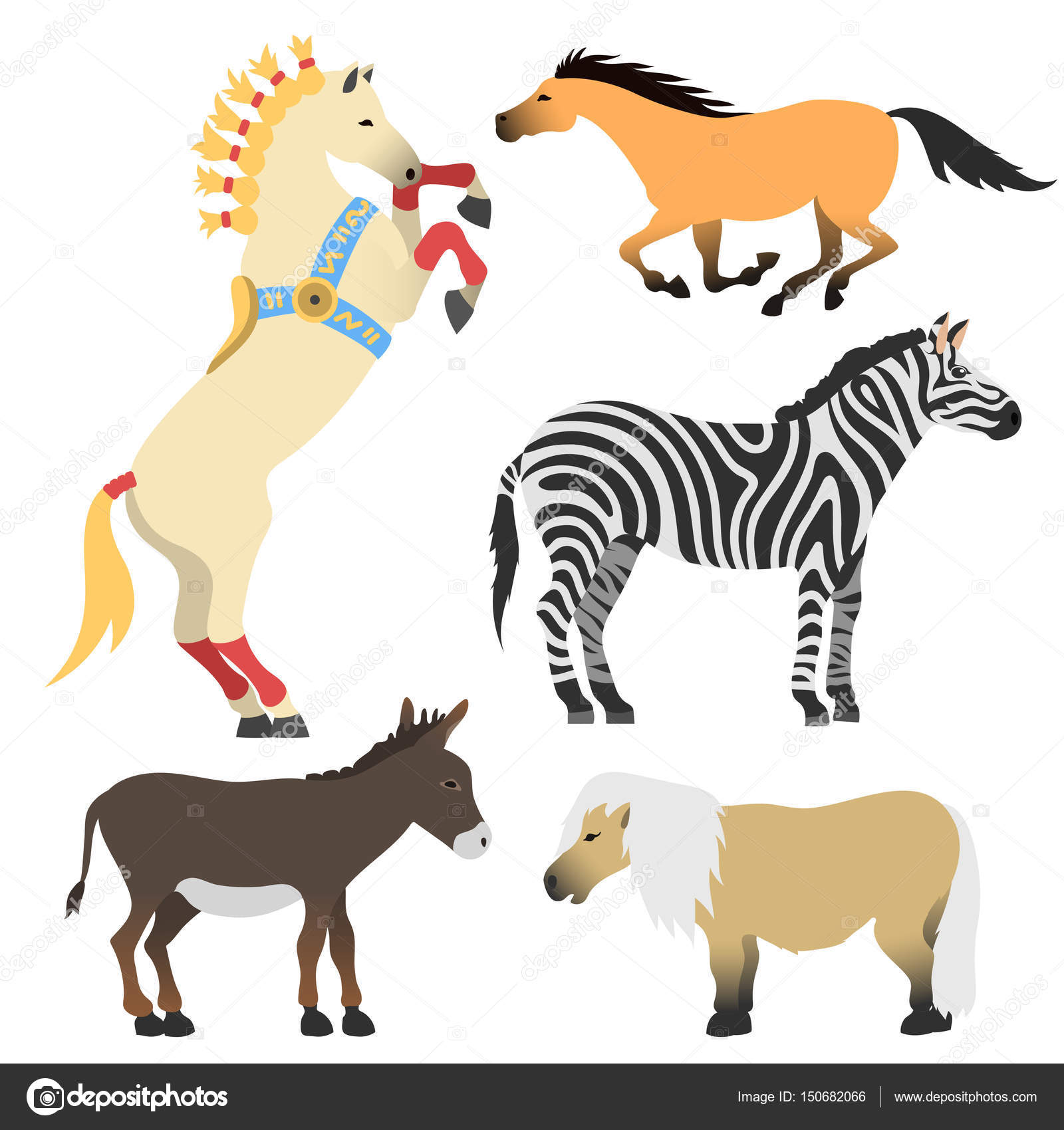 Set di stallone pony cavallo isolato illustrazione di vettore di diverse razze colore fattoria equestre personaggi animali Disegno animali di collezione