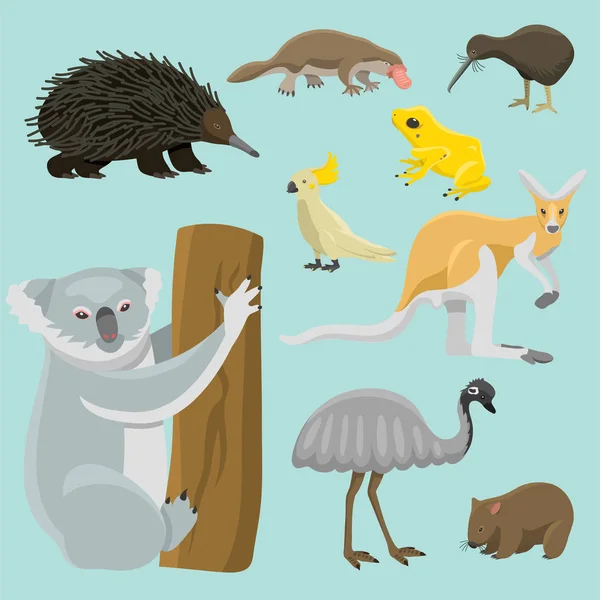 Ausztrália vadon élő állatok cartoon népszerű jellegét karakterek lapos stílusú emlős gyűjteménye vektor illusztráció. — Stock Vector