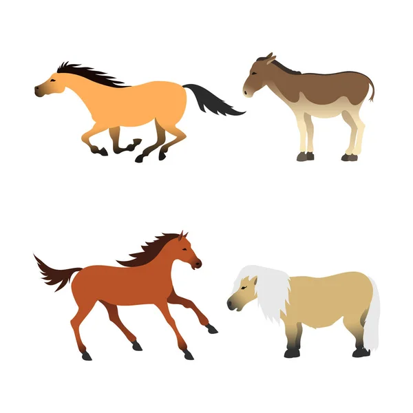 Horse pony stallion isolated different breeds color farm equestrian animal characters vector illustration. — Stock Vector