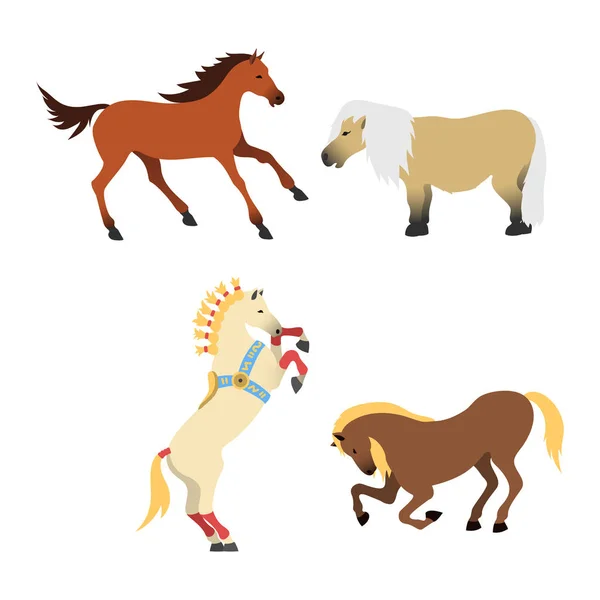 Horse pony stallion isolated different breeds color farm equestrian animal characters vector illustration. — Stock Vector