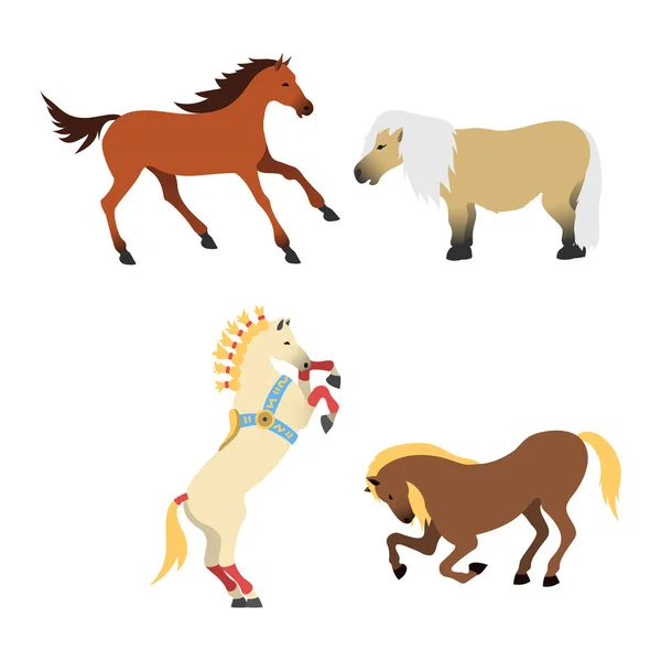 Cavalo pônei garanhão isolado raças diferentes cor fazenda equestre animal caracteres vetor ilustração . — Vetor de Stock