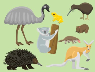 Avustralya vahşi hayvanlar popüler doğa karakterler düz stil memeli koleksiyonu vektör çizim karikatür.