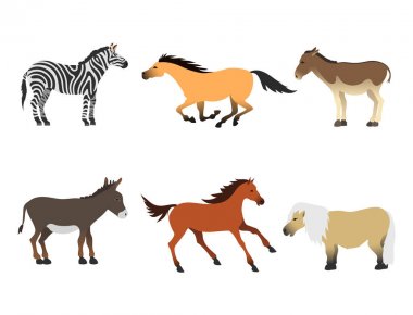 At midilli aygır farklı doğurmak renk çiftlik binicilik hayvan karakter vektör illüstrasyon izole.