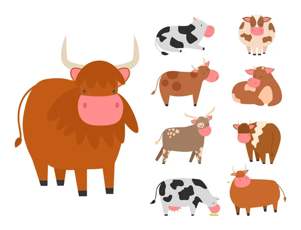 Bois vacas fazenda animal caráter vetor ilustração gado mamífero natureza selvagem carne agricultura . — Vetor de Stock