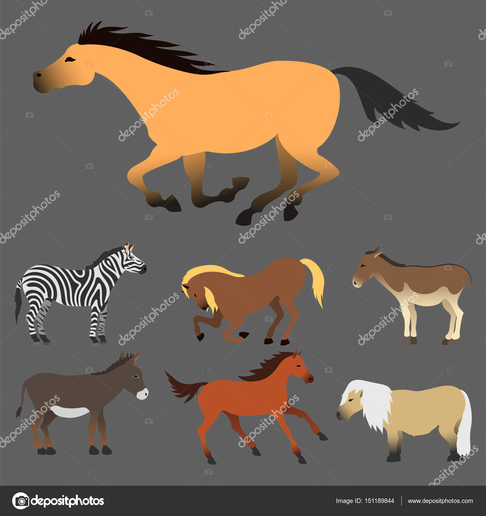 Horse pony stallion isolated different breeds color farm equestrian animal  characters vector illustration. Stock Vector Image by ©VectorShow #151189844