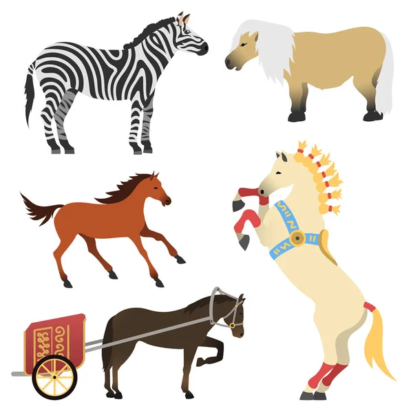 Лошадиный пони жеребца изолированы различные породы цвета фермы конных животных символов векторные иллюстрации . — стоковый вектор