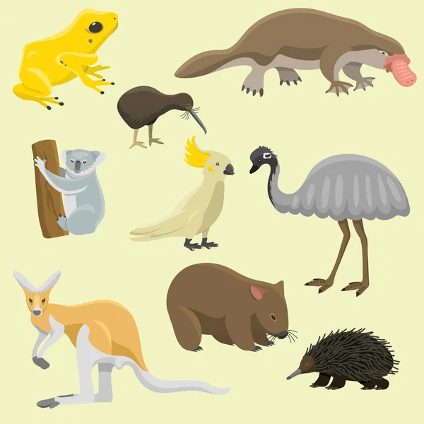 Australia animales salvajes dibujos animados personajes de la naturaleza popular estilo plano mamífero colección vector ilustración . — Archivo Imágenes Vectoriales