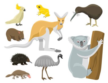 Avustralya vahşi hayvanlar popüler doğa karakterler düz stil memeli koleksiyonu vektör çizim karikatür.