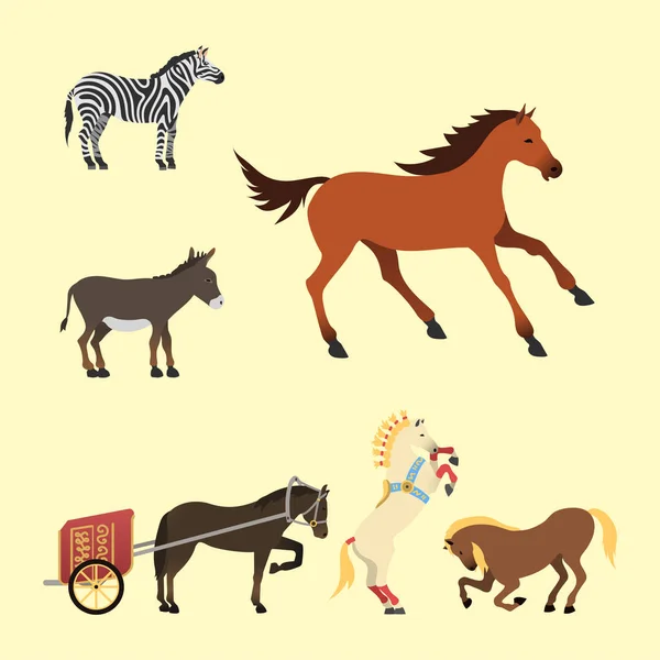 Pferd Pony Hengst isoliert verschiedene Rassen Farbe Bauernhof Reiten Tier Zeichen Vektor Illustration. — Stockvektor